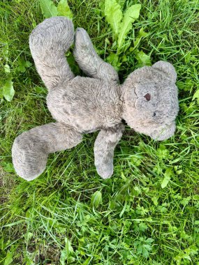 Giyilmiş oyuncak ayı taze yeşil çimlerin üzerinde yatıyor.