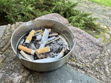  Sağlık kampanyaları, sigara karşıtı girişimler ve kentsel yaşam tarzına ilişkin yayın içeriği için uygundur