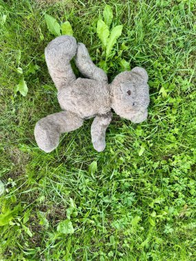 Giyilmiş oyuncak ayı taze yeşil çimlerin üzerinde yatıyor.