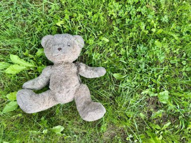 Giyilmiş oyuncak ayı taze yeşil çimlerin üzerinde yatıyor.