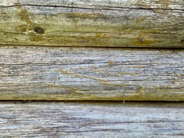 Yuvarlak ahşap kalaslardan yapılmış eşsiz bir duvar dokusu dairesel bir düzende dizilmiş. 