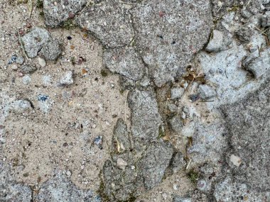 Yeşil yosun ve doğal çatlaklara sahip yaşlı taş kaldırımlar kırsal bir doku yaratıyor.