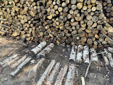 Tekrarlanan şablon ve organik doku metin örtüsü için mükemmel bir zemin sağlar 