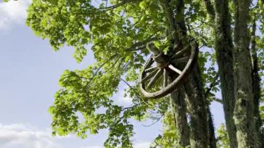 Yazın yeşil yaprakların arasında ağaçta asılı duran taşralı ahşap araba tekerleği.