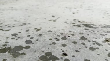 Yağmur damlaları yağar ve yaz yağmurundan sonra beton zeminde ıslak noktalar oluşturur.