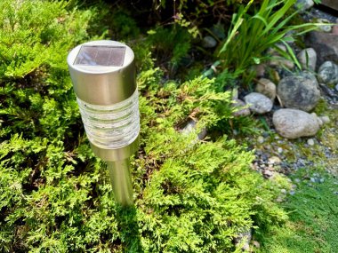 Klasik Edison ampulü bir ipten sarkıyor, yemyeşil bir bahçede sıcak ve samimi bir ortam yaratıyor. 