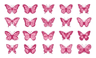 Renkli kelebek koleksiyonu. Renkli kelebekler. Vektör illüstrasyonu