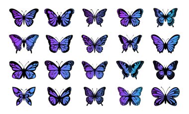 Uçan kelebekler siluet siyah set beyaz arka planda izole