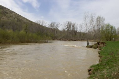 Baharda Doğu Kazakistan 'ın dağ nehri