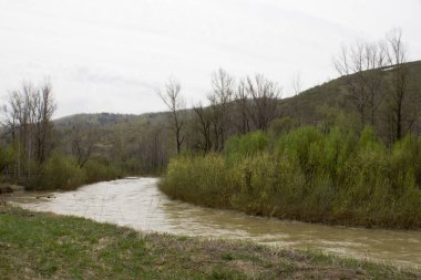 Baharda Doğu Kazakistan 'ın dağ nehri