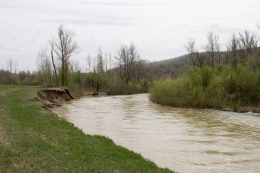 Baharda Doğu Kazakistan 'ın dağ nehri