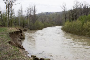 Baharda Doğu Kazakistan 'ın dağ nehri