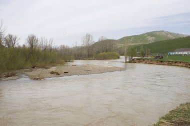 Baharda Doğu Kazakistan 'ın dağ nehri