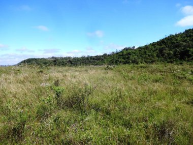 Brezilya 'daki Serra do Mar yüksek rakım alanları