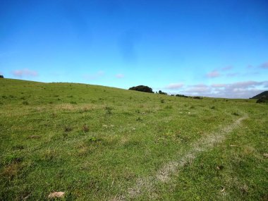 Brezilya 'daki Serra do Mar yüksek rakım alanları