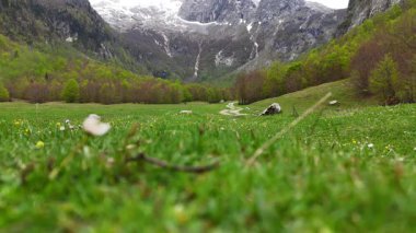 Prokletije Karadağ 'daki Karlı Tepeler ve Yeşil Yol Hava Görüntüleri. Yüksek kalite 4K görüntü. Prokletije Milli Parkı