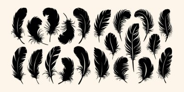 Tüy silueti ve kuş tüyü vektör simgesi ayarlandı