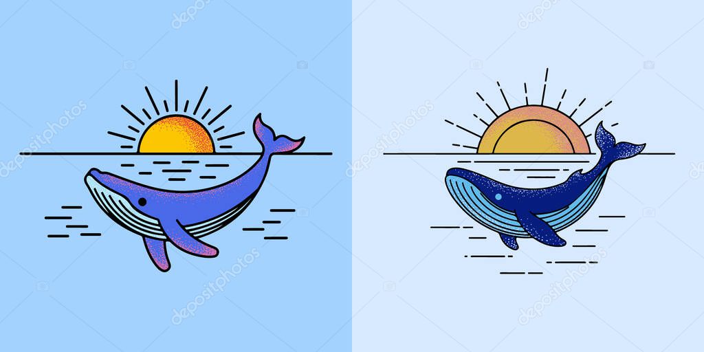 Whale sunset illustration design