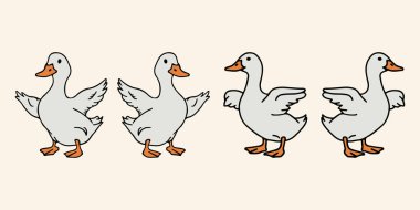 Ördek illüstrasyonu ve el çizimi ördek karakterleri