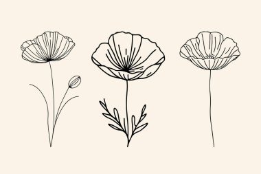 El çizimi gelincik çiçeği düz tasarımı basit çiçek ana hatları