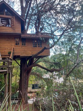 Büyüleyici ahşap bir ağaç ev, doğayla sorunsuz bir şekilde bütünleşmiş, geniş pencereleri ve rahat bir atmosferi var. Yapı dallar ve yeşilliklerle uyum içinde harmanlanarak büyülü bir yeniden oluşturur.