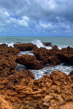 The sea hitting the rocks on a beach with natural pools in Joao Pessoa, in the state of Paraiba, Brazil, on a summer day clipart