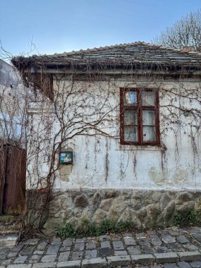 Kırık camları ve duvarında kuru sarmaşık olan terk edilmiş eski bir ev.