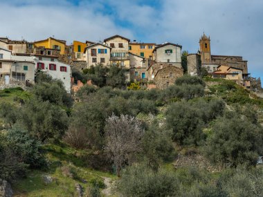 Uçuruma tünemiş Çam Ağacı Manzarası: Ağaçlarla çevrili ve engebeli dağlık araziyle çevrili Rocky Ormanı 'na bakan tarihi Fransız Tepesi Köyü