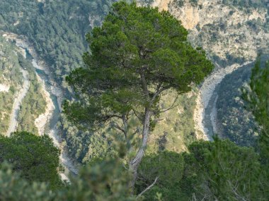 Pine Haute 'un altındaki Dağ Yürüyüşü Yolu: Çam Ormanı' ndan aşağı kıvrılarak inen Kayalık Yol Dik Vadilerin ve Fransız Alplerindeki Uzak Tepelerin Manzaraları
