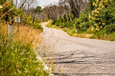 Slovenya 'daki dolambaçlı Country Road: Sessiz Asfalt Yolu Çimenli Verges, Yaban Çiçekleri ve Parlak Yaz Güneşi Altında Ormanlı Tepeler. Yüksek kalite fotoğraf