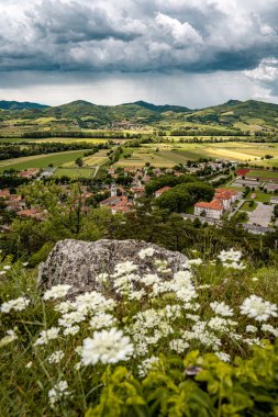 Kale Harabelerinden Vipava 'nın resmi: Kırmızı döşemeli çatılar ve yeşil vadiye yerleştirilmiş Kilise Kulesi Ön planda Çiçekler ve Arka planda Yuvarlanan Tarlalar, Slovenya. Yüksek kalite fotoğraf