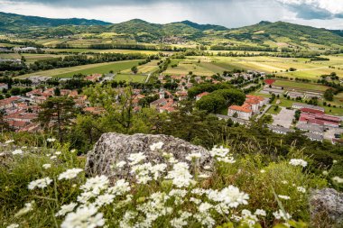 Kale Harabelerinden Vipava 'nın Resimli Manzarası: Kırmızılı Çatı ve Kilise Kulesi Önplanda Çiçek Açan Çiçekler ve Arka planda Yuvarlanan Tarlalar, Slovenya. 