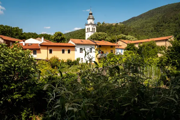 Vipava 'nın Kale Manzaralı Büyüleyici Kasabası: Batı Slovenya' da Açık Mavi Gökyüzü Altında Uzak Kale Harabeleri Olan Renkli Tarihi Evler ve Kilise Kulesi