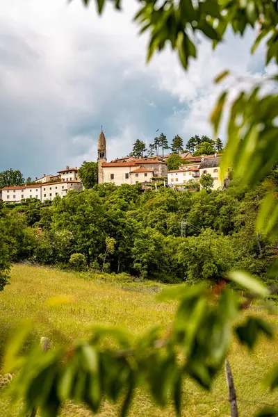 Slovenya 'nın Manzaralı Tepe Kenti Stanjel: Karst Bölgesi' nde Geleneksel Taş Evler ve Çiçek Yeşiller Altında Yükselen Tarihi Kilise Kulesi. Yüksek kalite fotoğraf