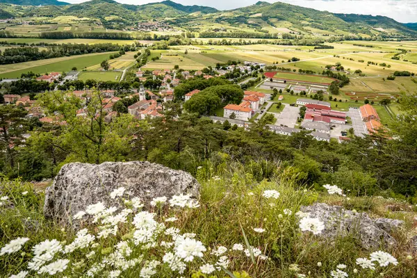 Kale Harabelerinden Vipava 'nın resmi: Kırmızı döşemeli çatılar ve yeşil vadiye yerleştirilmiş Kilise Kulesi Ön planda Çiçekler ve Arka planda Yuvarlanan Tarlalar, Slovenya. Yüksek kalite fotoğraf