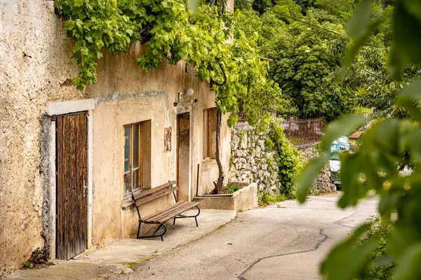 Vipava, Slovenya 'daki Rustik Sokak Sahnesi: Ahşap Kapılı Eski Taş Ev ve Kırsalda sessiz bir viraj şeridi boyunca uzanan yeşil sarmaşıkların altında bir bank. Yüksek kalite fotoğraf