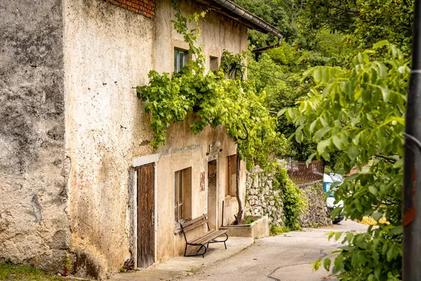Vipava, Slovenya 'daki Rustik Sokak Sahnesi: Ahşap Kapılı Eski Taş Ev ve Kırsalda sessiz bir viraj şeridi boyunca uzanan yeşil sarmaşıkların altında bir bank. Yüksek kalite fotoğraf