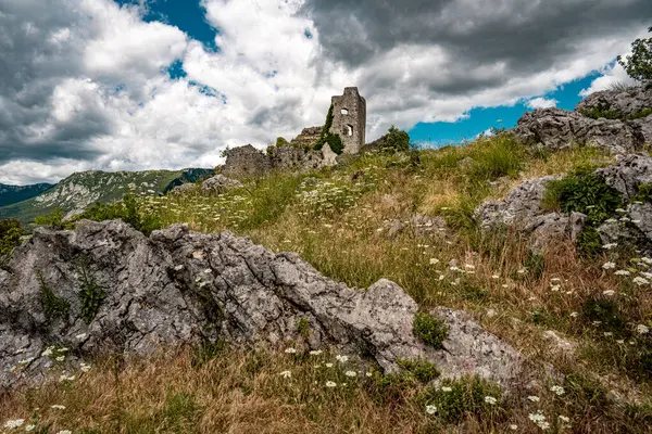 Kale Harabelerinden Vipava 'nın Resimli Manzarası: Kırmızılı Çatı ve Kilise Kulesi Önplanda Çiçek Açan Çiçekler ve Arka planda Yuvarlanan Tarlalar, Slovenya. 