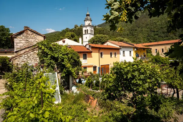 Vipava 'nın Kale Manzaralı Büyüleyici Kasabası: Batı Slovenya' da Açık Mavi Gökyüzü Altında Uzak Kale Harabeleri Olan Renkli Tarihi Evler ve Kilise Kulesi