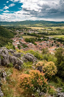 Kale Harabelerinden Vipava 'nın resmi: Kırmızı döşemeli çatılar ve yeşil vadiye yerleştirilmiş Kilise Kulesi Ön planda Çiçekler ve Arka planda Yuvarlanan Tarlalar, Slovenya. Yüksek kalite