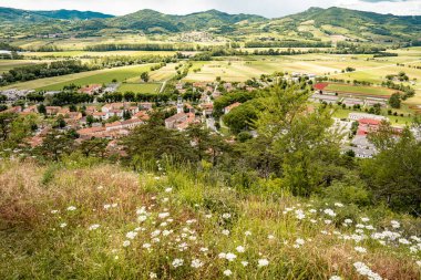 Kale Harabelerinden Vipava 'nın resmi: Kırmızı döşemeli çatılar ve yeşil vadiye yerleştirilmiş Kilise Kulesi Ön planda Çiçekler ve Arka planda Yuvarlanan Tarlalar, Slovenya. Yüksek kalite