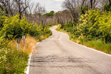 Kale Harabelerinden Vipava 'nın Resimli Manzarası: Kırmızılı Çatı ve Kilise Kulesi Önplanda Çiçek Açan Çiçekler ve Arka planda Yuvarlanan Tarlalar, Slovenya. 