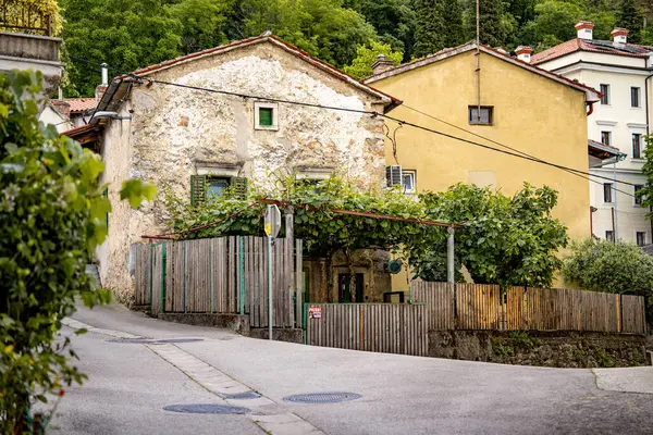 Vipava, Slovenya 'daki Rustik Sokak Sahnesi: Ahşap Kapılı Eski Taş Ev ve Kırsalda sessiz bir viraj şeridi boyunca uzanan yeşil sarmaşıkların altında bir bank. Yüksek kalite fotoğraf