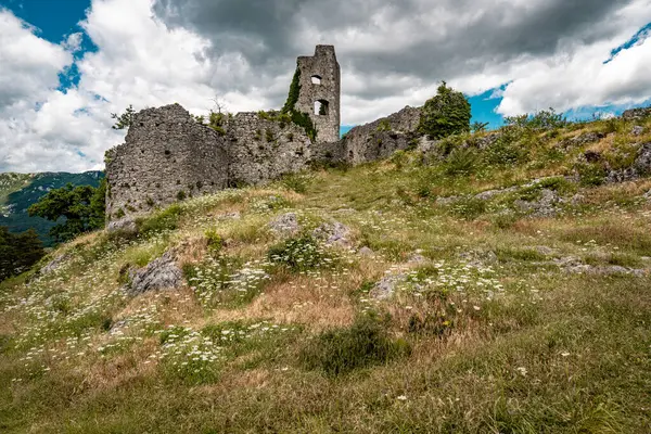 Kale Harabelerinden Vipava 'nın Resimli Manzarası: Kırmızılı Çatı ve Kilise Kulesi Önplanda Çiçek Açan Çiçekler ve Arka planda Yuvarlanan Tarlalar, Slovenya. 