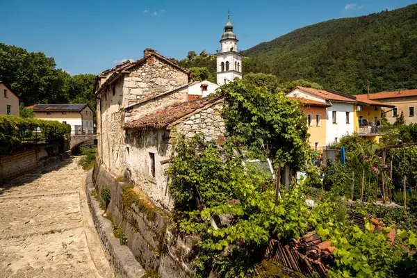 Kale Harabelerinden Vipava 'nın Resimli Manzarası: Kırmızılı Çatı ve Kilise Kulesi Önplanda Çiçek Açan Çiçekler ve Arka planda Yuvarlanan Tarlalar, Slovenya. 
