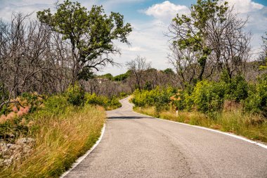 Kale Harabelerinden Vipava 'nın Resimli Manzarası: Kırmızılı Çatı ve Kilise Kulesi Önplanda Çiçek Açan Çiçekler ve Arka planda Yuvarlanan Tarlalar, Slovenya. 