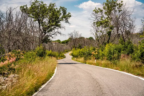 Kale Harabelerinden Vipava 'nın Resimli Manzarası: Kırmızılı Çatı ve Kilise Kulesi Önplanda Çiçek Açan Çiçekler ve Arka planda Yuvarlanan Tarlalar, Slovenya. 