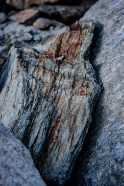 Kaya yüzeyli ve çizgili mineralli taş zemin: Kuzey İtalya 'nın dağlarında yıpranmış jeolojik oluşumun yakın çekimi. Yüksek kalite fotoğraf