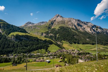 Splugen Pass Patikası boyunca Çiçek açan Alp Yaban Çiçekleri: Verdant Vadileri ve Clear Blue Sky tarafından çerçevelenen Pizzo Tambo ve Surettahorn Tepelerinin Manzarası. Yüksek kalite fotoğraf