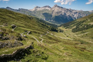 Splugen Pass Patikası boyunca Çiçek açan Alp Yaban Çiçekleri: Verdant Vadileri ve Clear Blue Sky tarafından çerçevelenen Pizzo Tambo ve Surettahorn Tepelerinin Manzarası. Yüksek kalite fotoğraf